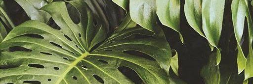 JariBarton's profile banner image