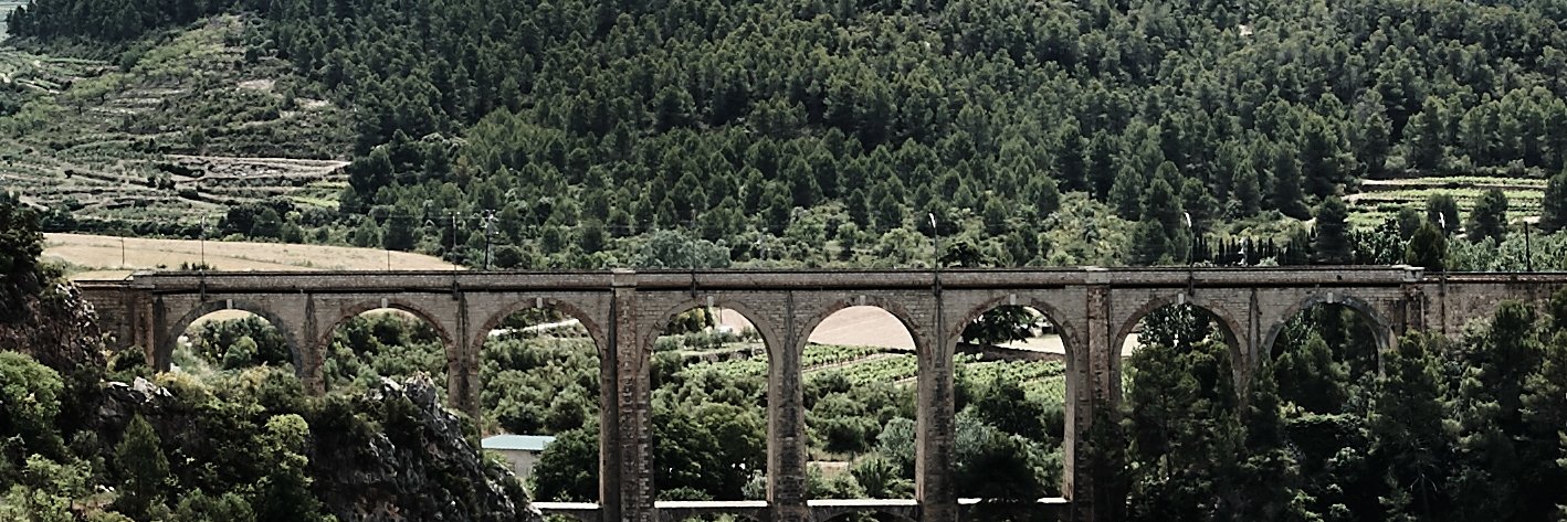Celler de Capçanes banner
