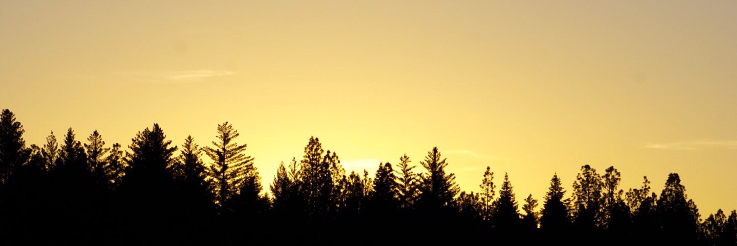 stevinicole04's profile banner image