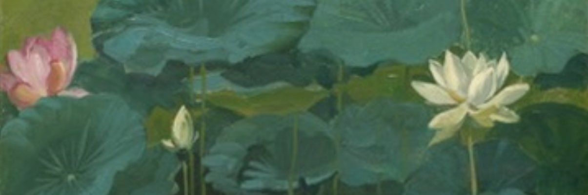 vicpeltier97's profile banner image