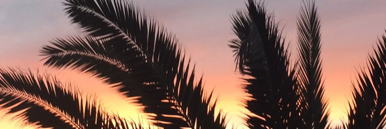 MattAlvarez24's profile banner image