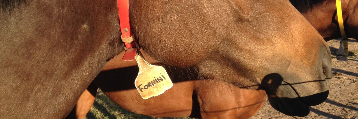 Nini 💙Ⓜ️ banner