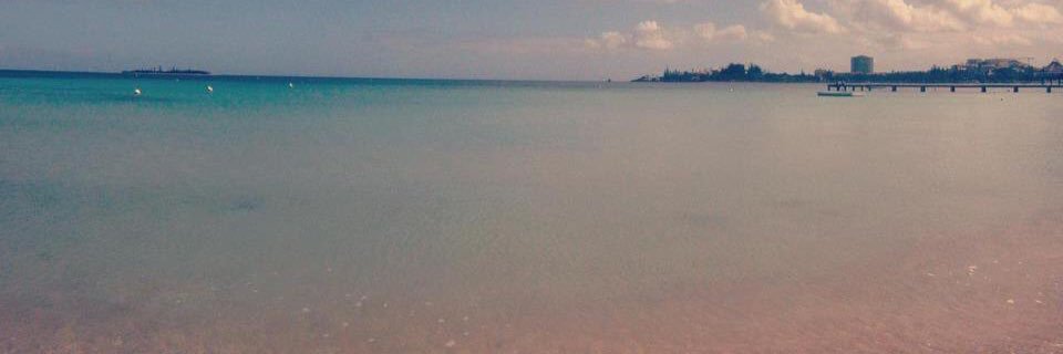 BucketsAndPips's profile banner image