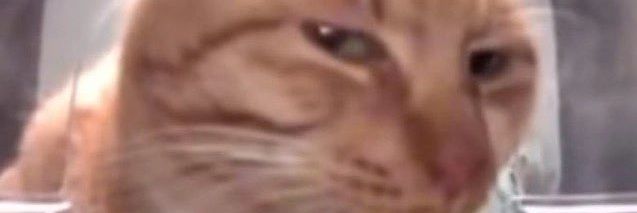 wardhanasz's profile banner image