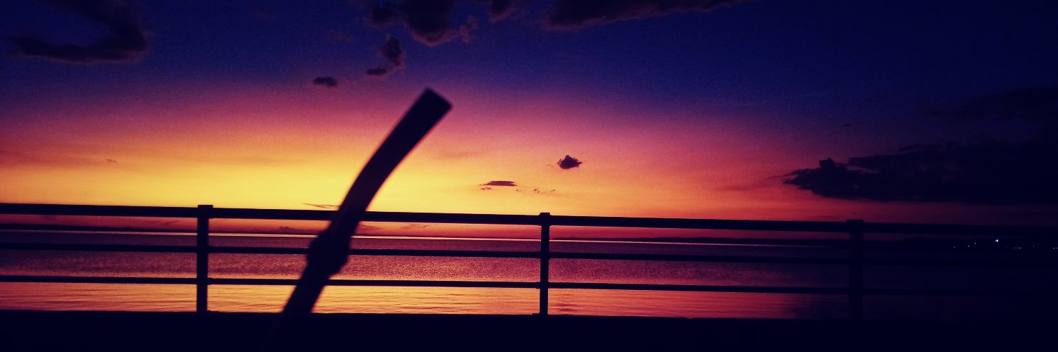 vanmision's profile banner image