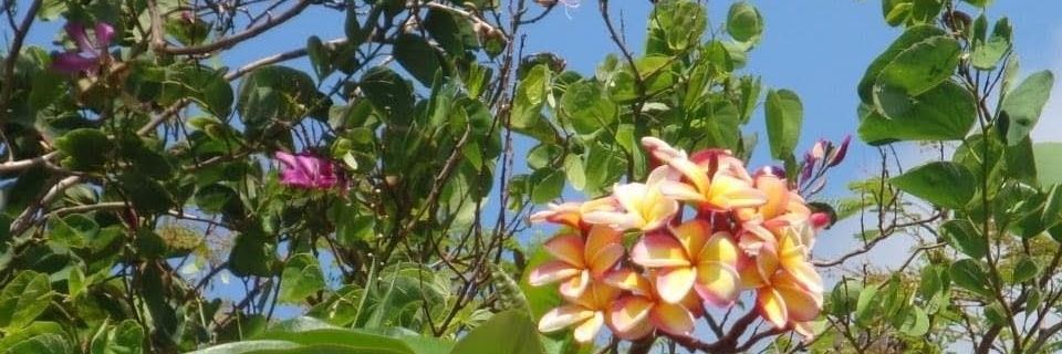 Nataliedoble's profile banner image