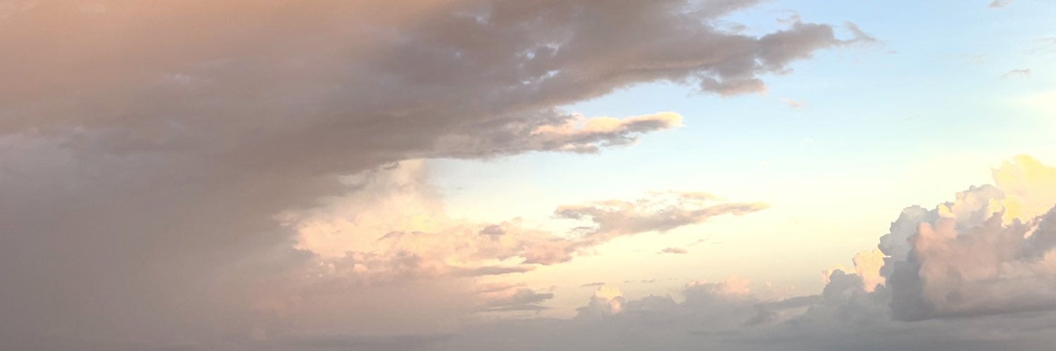 adindarushan's profile banner image