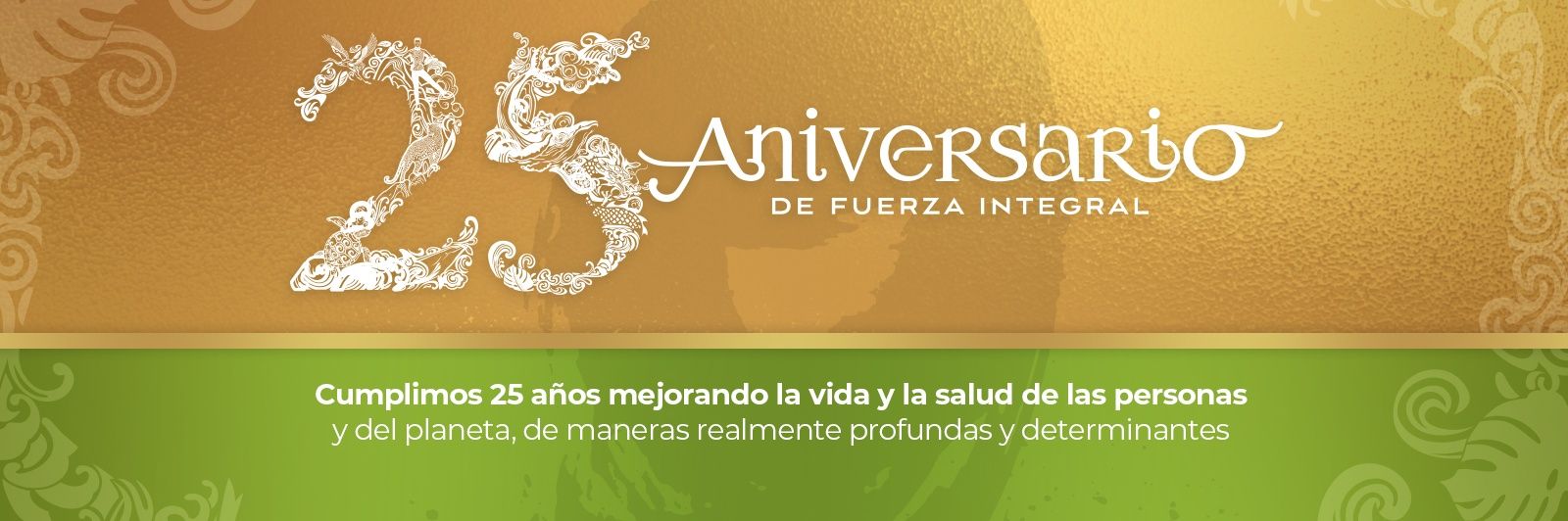 FuerzaIntegral's profile banner image