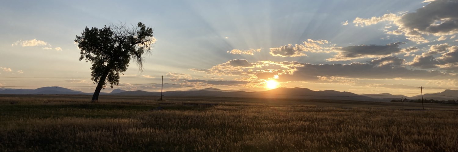allywattsally's profile banner image