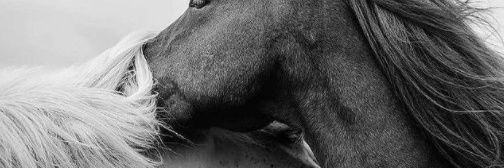 cansuv_'s profile banner image