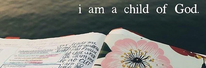 ∞ taylor banner