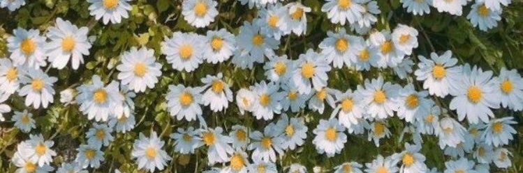 ria6195's profile banner image