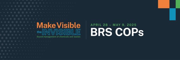 brsmeas Profile Banner