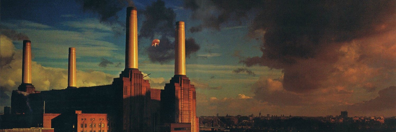 mabackermann's profile banner image