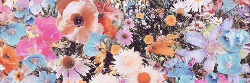 Jaybirrd_'s profile banner image