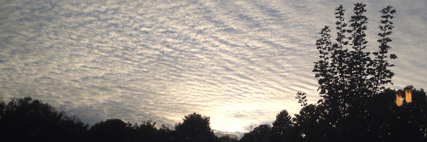 Helen Burgess banner