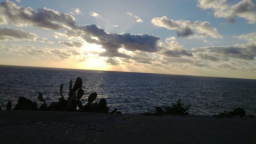 Alberto_Chiffi's profile banner image
