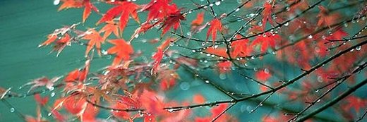 tejasow_p's profile banner image