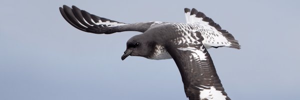 jazelouled Profile Banner