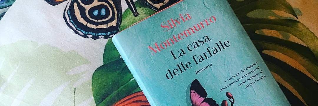 silvimontem's profile banner image