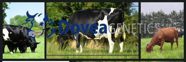 doveagenetics Profile Banner