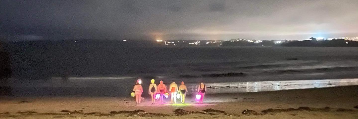 Paula Pearson banner