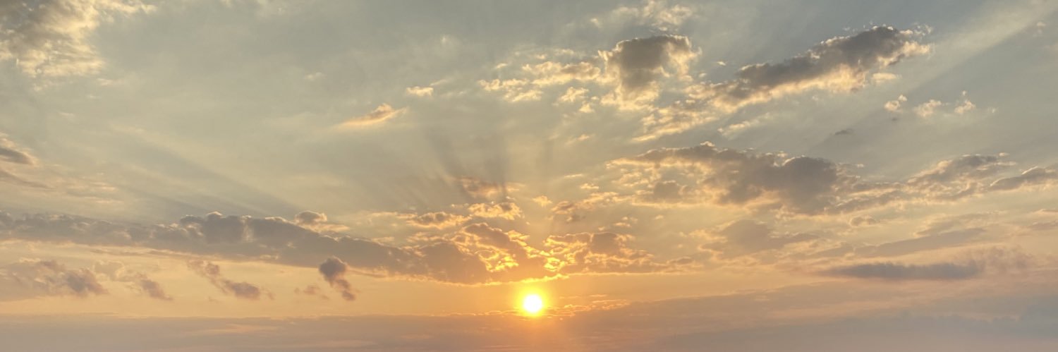 leronicavynn's profile banner image