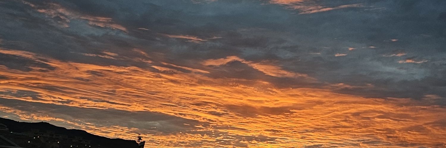 eeeliizaabeeth's profile banner image