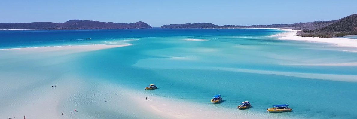 nick shewring banner