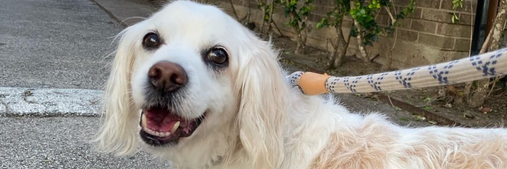 Brian Holzman banner