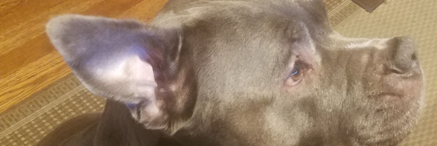 Ricks__world's profile banner image