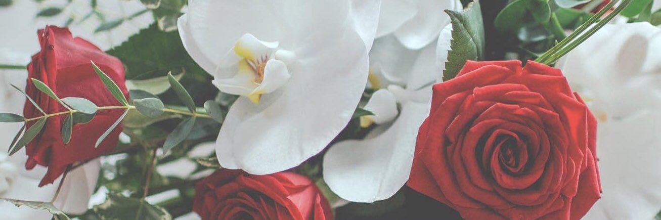 laura_obre's profile banner image