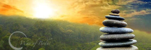 sureclerde's profile banner image