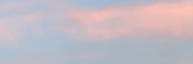 roseminiature's profile banner image