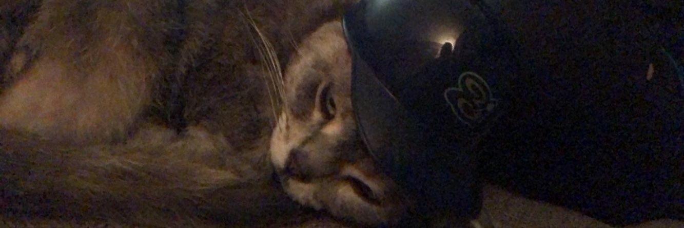 alexalmoser's profile banner image