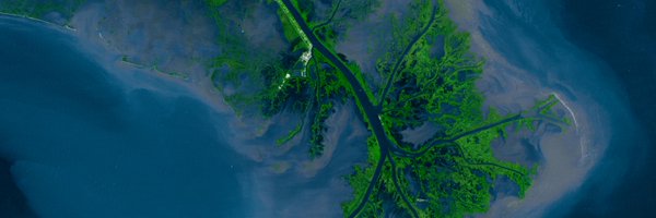 WatFuture Profile Banner