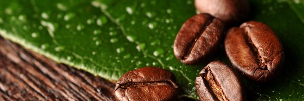 TheWhang Profile Banner