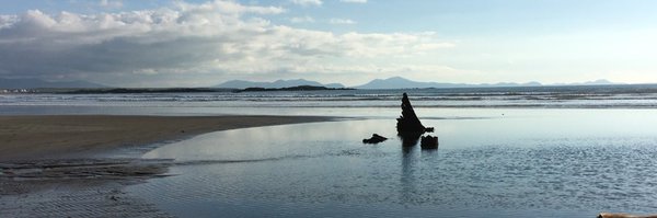 MartinMurphy001 Profile Banner