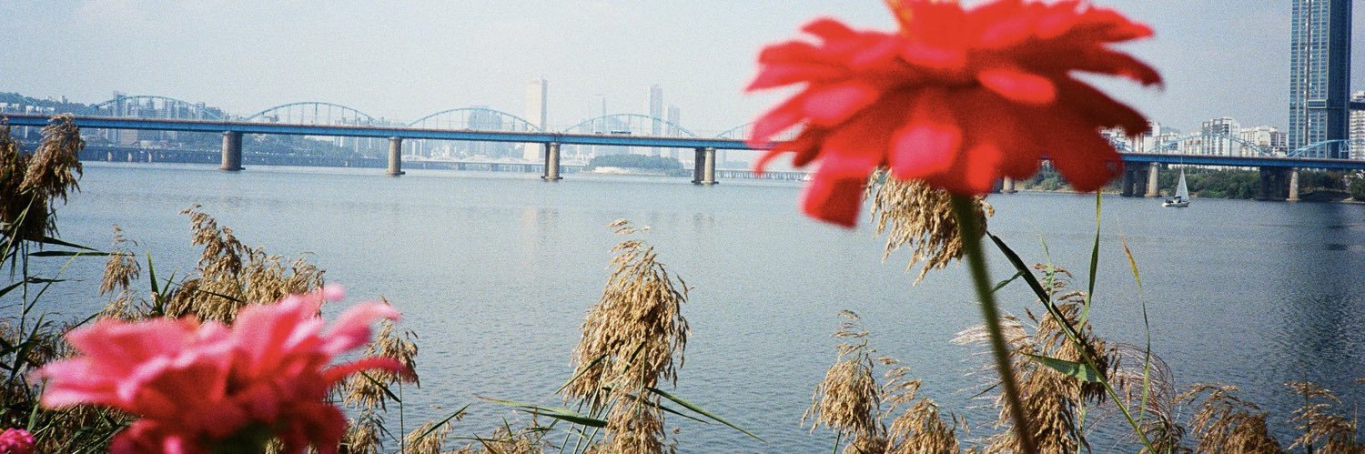 Pinkb97's profile banner image