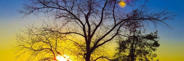 J1897T's profile banner image