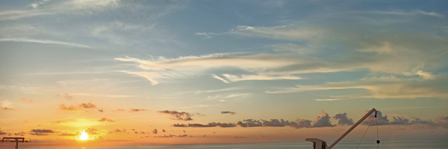 _rowiede's profile banner image