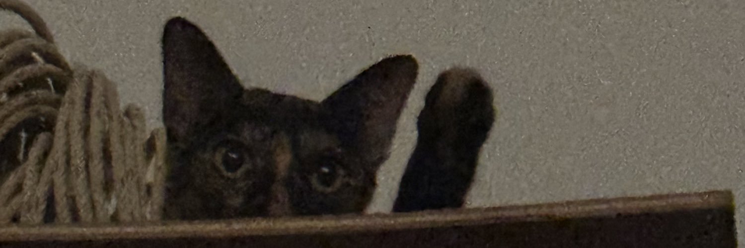 ssopine's profile banner image