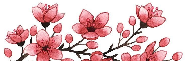 Biased 🇵🇱🇯🇵 banner