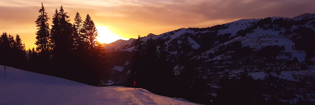 Mark Chadwick banner