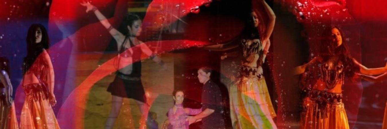 SaraAMMCarboni's profile banner image