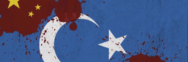 MsbSrknt's profile banner image
