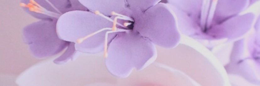 jasnpugs's profile banner image