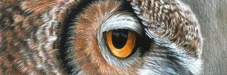 JamieHCrowley's profile banner image