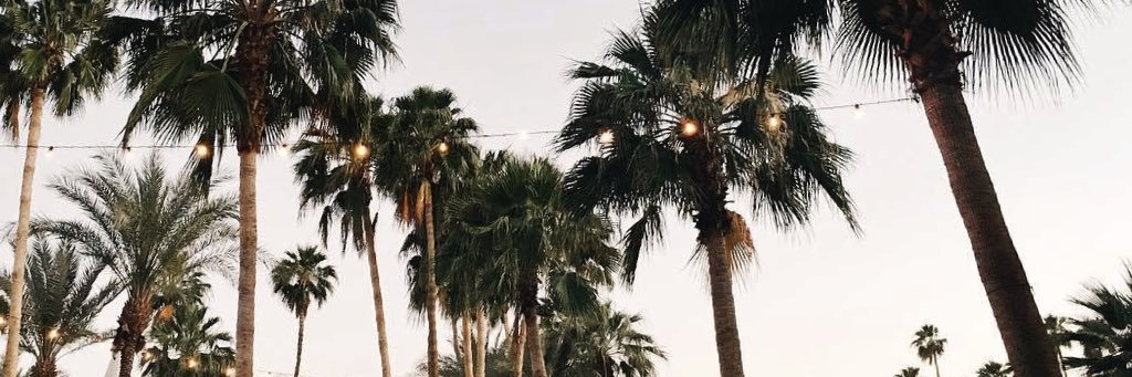 SBasaulaa's profile banner image