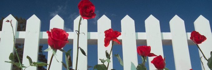 AllisonFullin's profile banner image